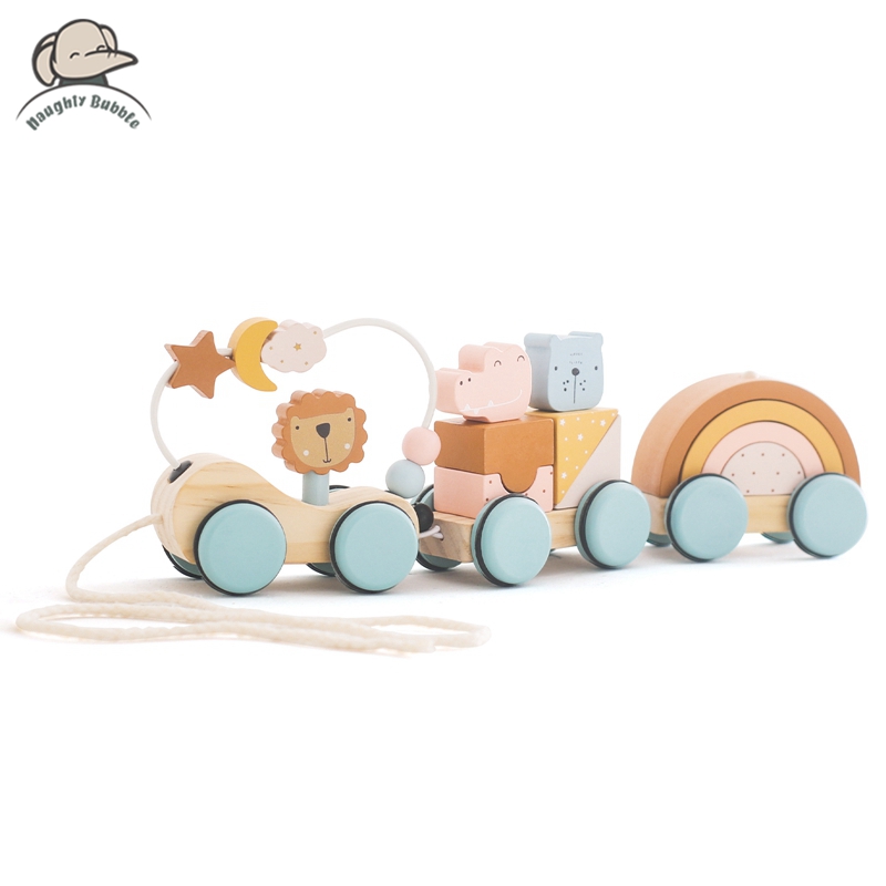 Wooden Montessori Toys Animal  - Kids Toys 2 Year Old 评论和价格