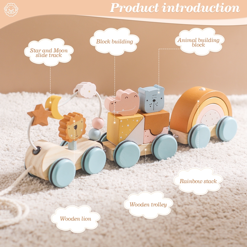 Wooden Montessori Toys Animal  - Kids Toys 2 Year Old 评论和价格