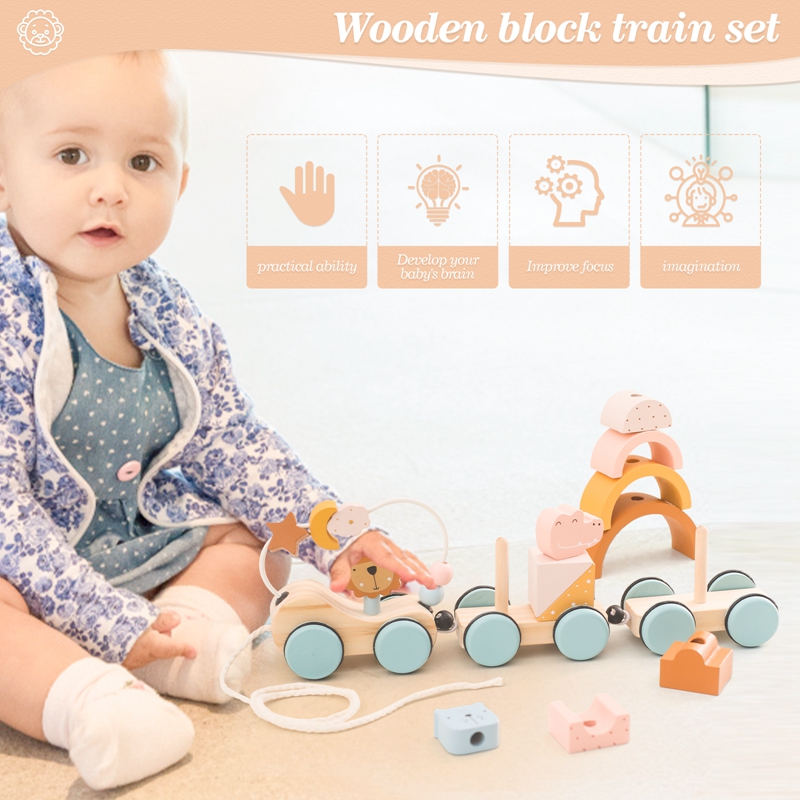 Wooden Montessori Toys Animal  - Kids Toys 2 Year Old 评论和价格