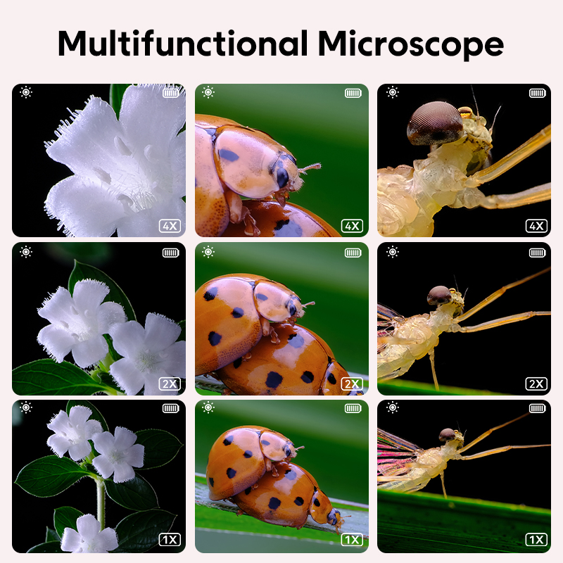 Mini Kids Optical Microscope W - Toys For Kids Video 评论和价格
